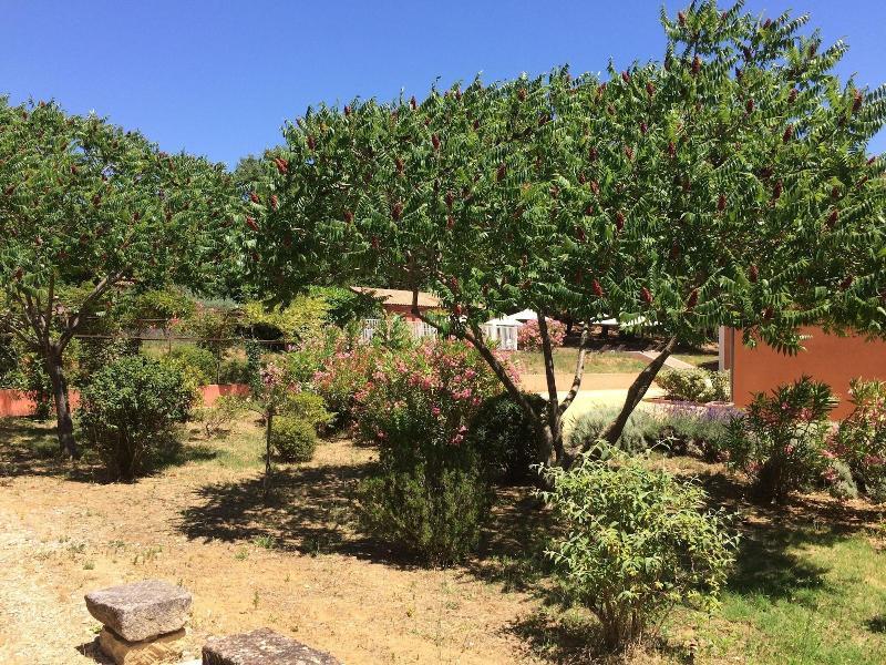 Hotel Les Ambres Roussillon en Isere Exterior foto